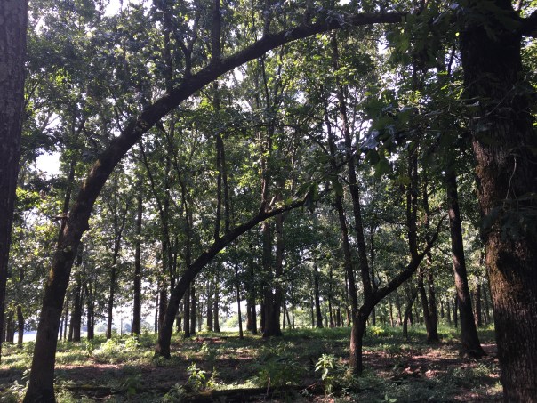 Photo Jul 28, 3 18 26 PM